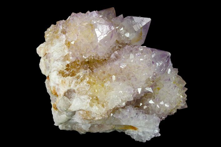 Cactus Quartz (Amethyst) Crystal Cluster - South Africa #137801